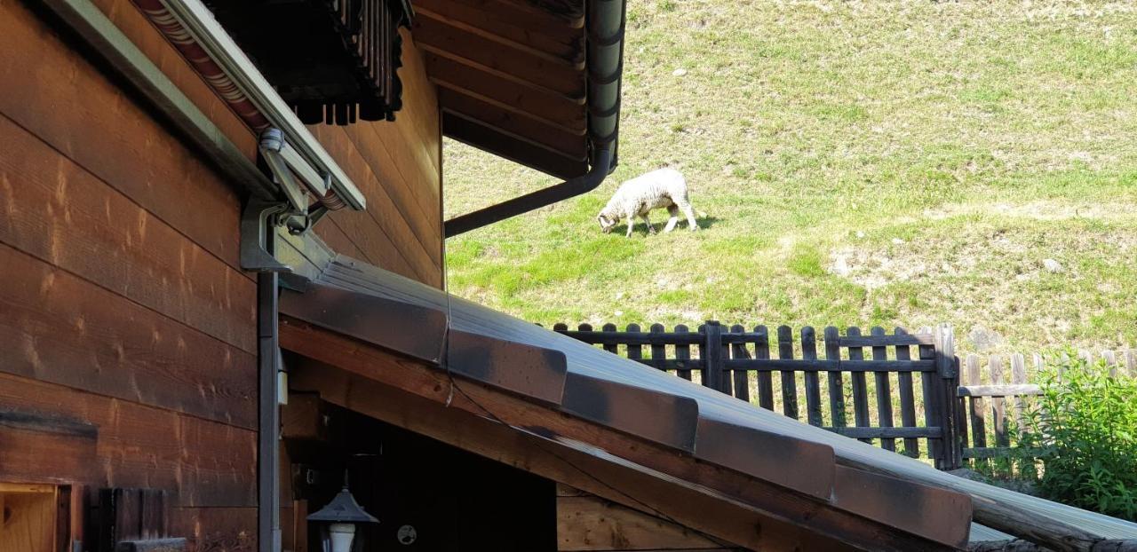 Ferienhaus & Ferienwohnung Winay Wayna Gotschna Blick Klosters Exteriér fotografie